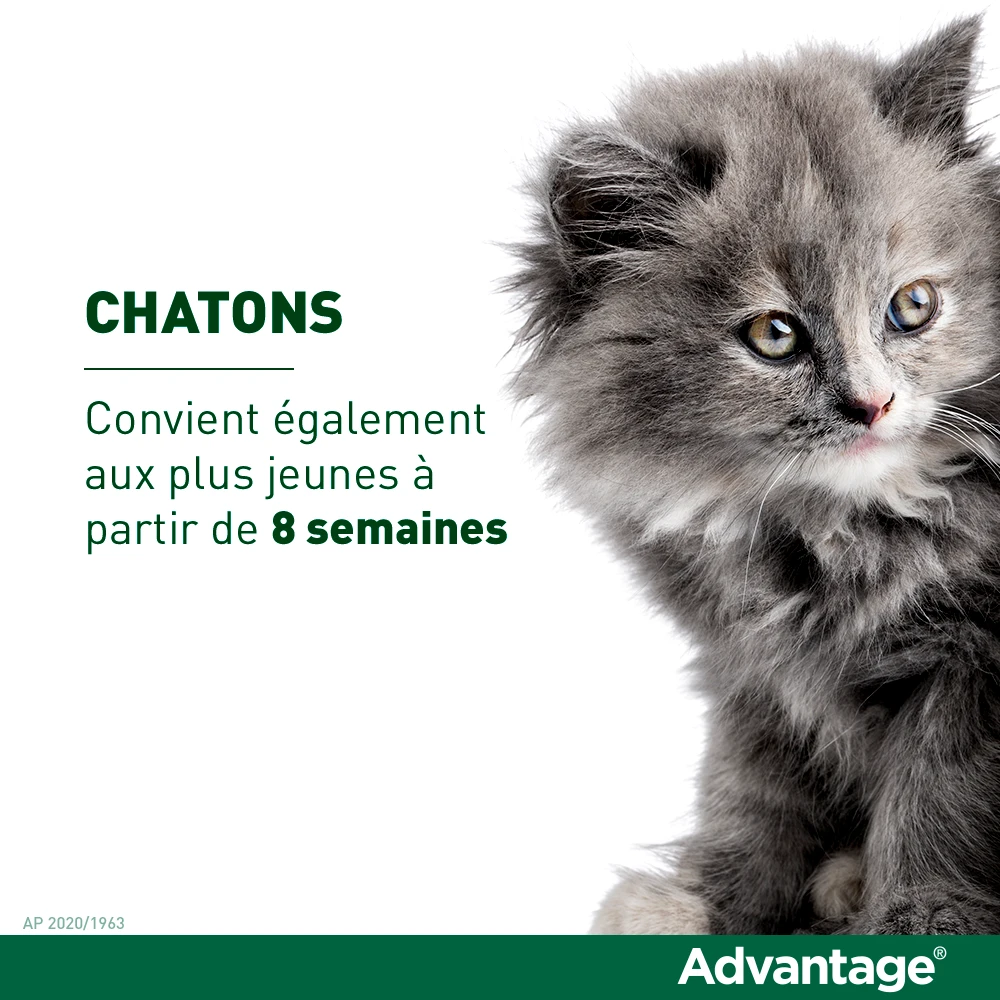 Advantage 80 Chat Et Lapin De Plus De 4 Kg – Image 5