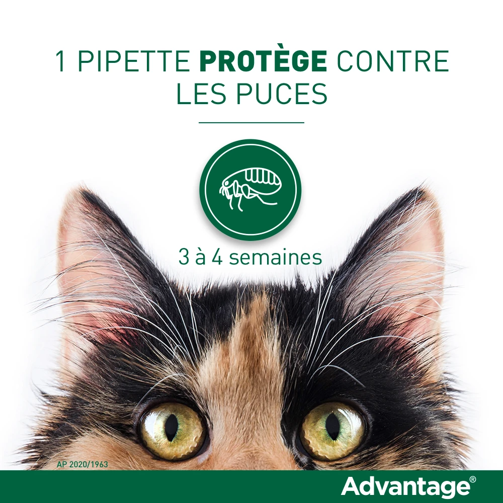 Advantage 80 Chat Et Lapin De Plus De 4 Kg – Image 3